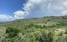 Photo submitted by guest of Villa Nora