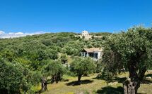 Photo submitted by guest of Villa di Giovanni