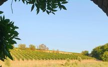 Photo submitted by guest of Casa Maria Luisa