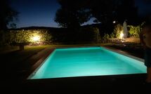 Photo submitted by guest of Scerfio