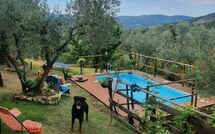 Photo submitted by guest of La Ruota