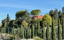 Photo submitted by guest of Tenuta Cambiano