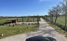 Photo submitted by guest of Villa dei Vini