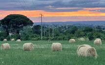 Photo submitted by guest of Casale San Martino