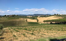 Photo submitted by guest of Nicola