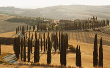 Photo submitted by guest of Villa Lauretana