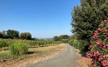 Photo submitted by guest of Poderino