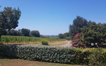 Photo submitted by guest of Poderino