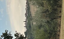 Photo submitted by guest of San Carlo