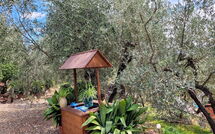 Photo submitted by guest of La Ruota