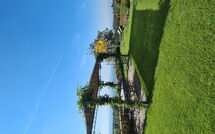 Photo submitted by guest of Casa Lionardo