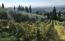 Photo submitted by guest of Casa Lucia