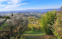 Photo submitted by guest of Casa Lucia