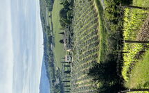 Photo submitted by guest of Tenuta