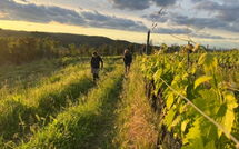 Photo submitted by guest of Villa Il Caggio