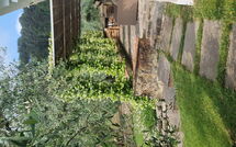 Photo submitted by guest of Villa Bellostare