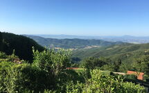 Photo submitted by guest of Villa Portole Due