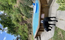 Photo submitted by guest of Casale di Cozzile