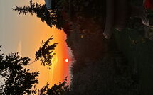 Photo submitted by guest of Panzalla