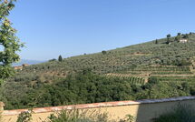 Photo submitted by guest of Casa Lionardo