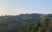 Photo submitted by guest of Casa Lionardo