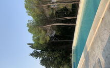 Photo submitted by guest of Nerodavola