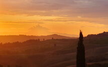 Photo submitted by guest of Tenuta Cambiano