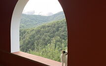 Photo submitted by guest of Villa Contessa