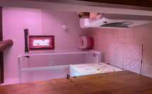 Photo submitted by guest of La Ruota