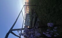 Photo submitted by guest of Il Sole di Vino