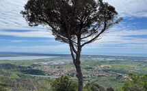 Photo submitted by guest of Casarosa di Mariasole