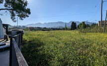 Photo submitted by guest of Beach Villa Christina