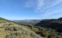 Photo submitted by guest of Beach Villa Christina