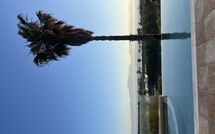 Photo submitted by guest of Villa Corfu Panorama