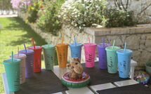 Photo submitted by guest of Villa Corfu Panorama