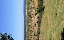 Photo submitted by guest of Villa Casale