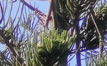 Photo submitted by guest of Votana House