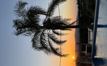 Photo submitted by guest of Villa Kois