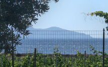 Photo submitted by guest of Villa Casale