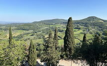 Photo submitted by guest of Villa Capolona