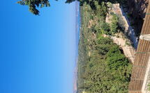 Photo submitted by guest of Villa Giorgos