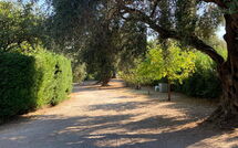 Photo submitted by guest of Villa Armonia