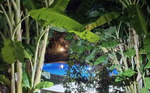 Photo submitted by guest of Klapas