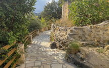 Photo submitted by guest of Villa Vicilla