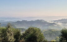 Photo submitted by guest of Casa Andrea