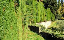 Photo submitted by guest of Montegufoni