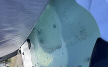 Photo submitted by guest of Casa Andrea